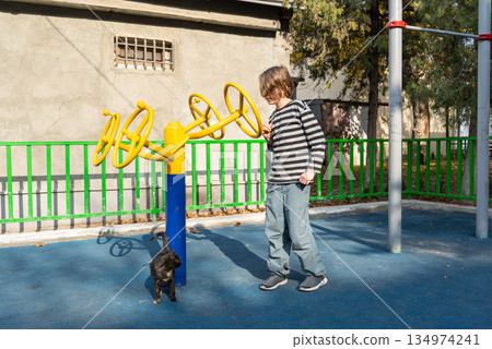 A young boy and a small cat at an outdoor playground. Child using fitness equipment 134974241