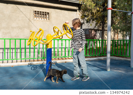 Boy playing on outdoor fitness equipment at a playground. A tortoiseshell cat walks nearby 134974242