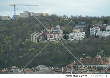 Hungary_Buda Castle 134974301