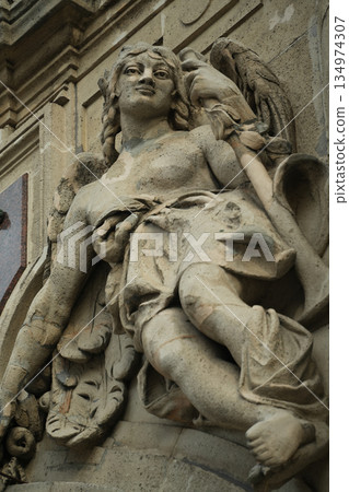 匈牙利布達城堡 匈牙利布達城堡 134974307