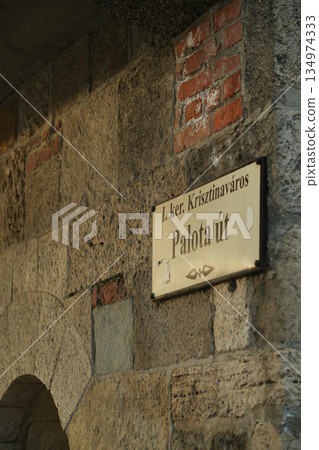 Hungary_Buda Castle 134974333