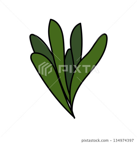 七草禦行 七草禦行 134974397