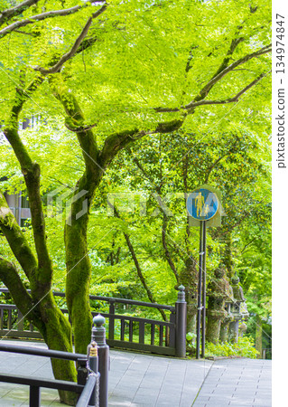 福岡南藏院的景色 134974847