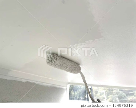 Exterior Wall Painting 12 134976319