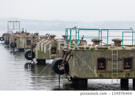 Concrete harbor platforms resting seabirds float on calm water in Wismar port under foggy sky. Quiet Baltic waterfront scene blends maritime infrastructure, wildlife presence and industrial stillness 134976464