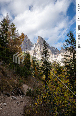 Hiking trail leading through autumn forest toward dramatic Dolomites mountain peaks 134976536