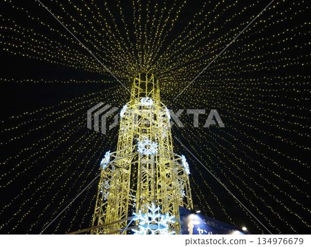 Kochi Central Park Christmas Market Kochi Central Park Christmas Market 134976679