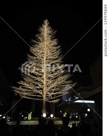 高知中央公園聖誕市集 高知中央公園聖誕市集 134976684