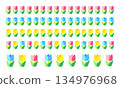 一套色彩繽紛的鬱金香，大小不一。 134976968