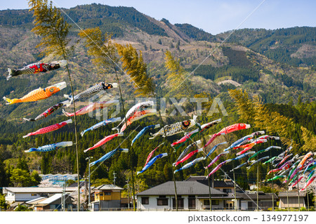 A group of carp streamers A group of carp streamers 134977197