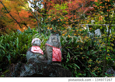 Jizo Bodhisattva and autumn leaves at Jakkoin Temple in Inuyama, Aichi Prefecture, autumn temple scenery Jizo Bodhisattva and autumn leaves at Jakkoin Temple in Inuyama, Aichi Prefecture, autumn temple scenery 134977267