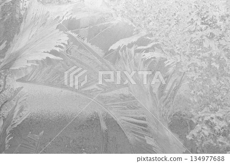 Frosted glass with palm and fern shapes creating abstract winter mood 134977688