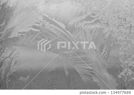 Frosted window with palm leaf imprint creates abstract icy pattern on glass in soft monochrome lighting Frosted window with palm leaf imprint creates abstract icy pattern on glass in soft monochrome lighting 134977689