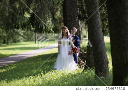Bride and groom seated under pine trees in leafy forest 134977818
