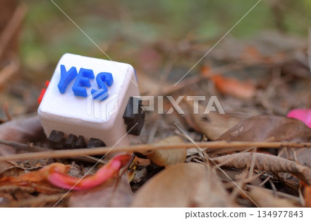 Outdoor photo of a cube with the word YES written on it Outdoor photo of a cube with the word YES written on it 134977843