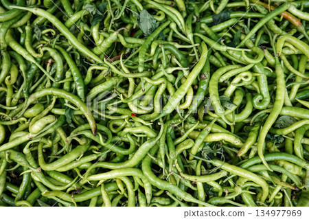 Closeup full frame background of many fresh green chili peppers with natural texture, healthy vegetable food concept Closeup full frame background of many fresh green chili peppers with natural texture, healthy vegetable food concept 134977969