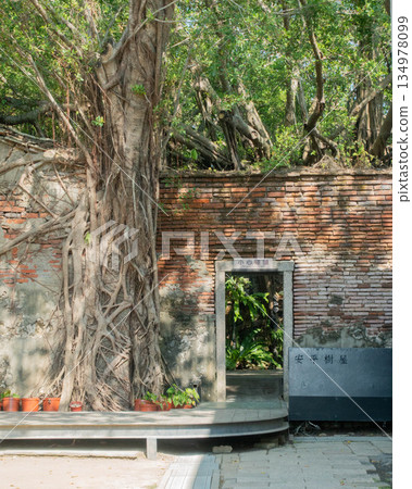 Anping tree store Anping tree store 134978099