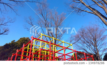 Jungle gym, dead Zelkova trees and blue sky in a winter park Jungle gym, dead Zelkova trees and blue sky in a winter park 134978286