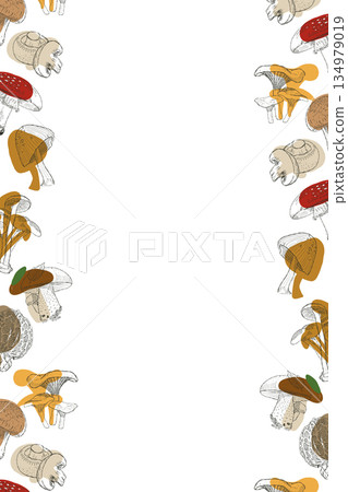Mushroom illustration frame with hand drawn forest fungi in modern sketch style 134979019