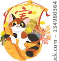Cat on a treasure ship 134980364