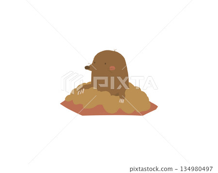 A mole peeking out from the hand-drawn landscape 134980497