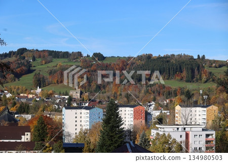 City with a lot of buildings and trees in the background 134980503