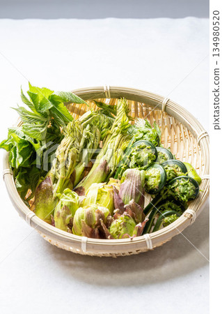 Assorted wild vegetables: taros, kogomi, koshiabura, and butterbur 134980520