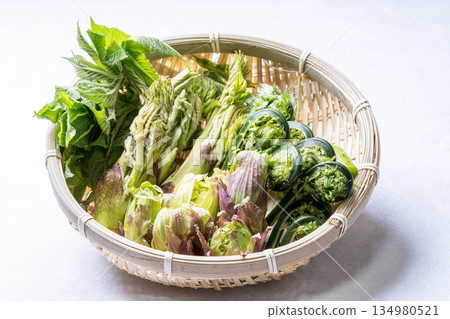 Assorted wild vegetables: taros, kogomi, koshiabura, and butterbur Assorted wild vegetables: taros, kogomi, koshiabura, and butterbur 134980521