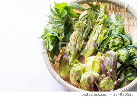 Assorted wild vegetables: taros, kogomi, koshiabura, and butterbur 134980523