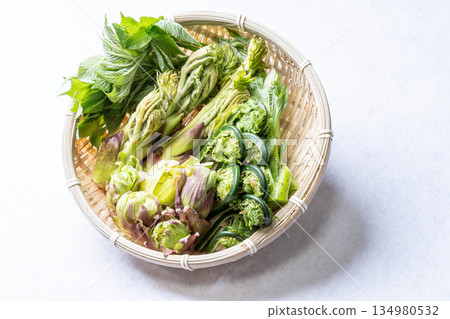 Assorted wild vegetables: taros, kogomi, koshiabura, and butterbur Assorted wild vegetables: taros, kogomi, koshiabura, and butterbur 134980532