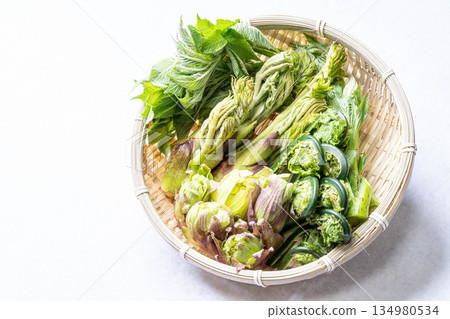 各種野生蔬菜:楤木芽、小莧菜、越紫莧菜和蜂斗菜。 各種野生蔬菜:楤木芽、小莧菜、越紫莧菜和蜂斗菜。 134980534