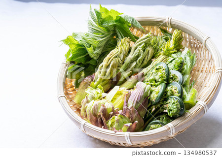 各種野生蔬菜:楤木芽、小莧菜、越紫莧菜和蜂斗菜。 各種野生蔬菜:楤木芽、小莧菜、越紫莧菜和蜂斗菜。 134980537