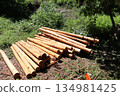 Straight log 134981425