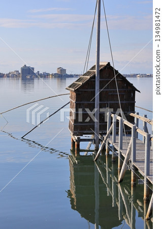 Togo Pond and Four-Handed Net 11 Togo Pond and Four-Handed Net 11 134981472