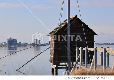 Togo Pond and Four-Handed Net 5 134981478