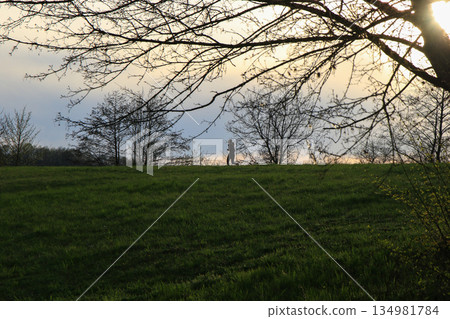 Silhouettes Walking on Idyllic Country Road Near Danube Lake at Beautiful Regensburg Sunset 134981784