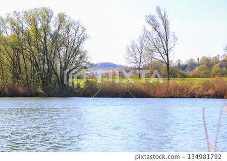 Peaceful Spring Walk Along Idyllic Country Road Near Danube Lake in Regensburg Peaceful Spring Walk Along Idyllic Country Road Near Danube Lake in Regensburg 134981792