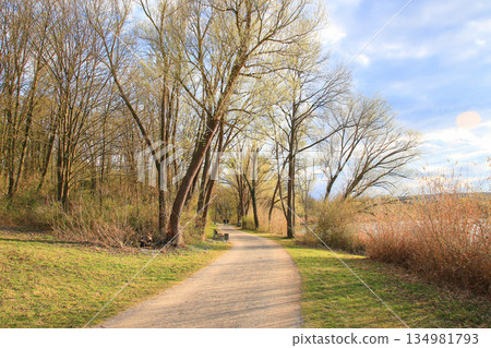 Peaceful Spring Walk Along Idyllic Country Road Near Danube Lake in Regensburg Peaceful Spring Walk Along Idyllic Country Road Near Danube Lake in Regensburg 134981793