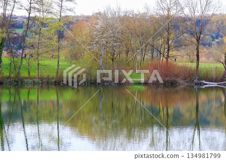 Peaceful Spring Walk Along Idyllic Country Road Near Danube Lake in Regensburg Peaceful Spring Walk Along Idyllic Country Road Near Danube Lake in Regensburg 134981799