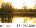 Peaceful Spring Walk Along Idyllic Country Road Near Danube Lake in Regensburg 134981800