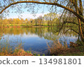 Peaceful Spring Walk Along Idyllic Country Road Near Danube Lake in Regensburg 134981801