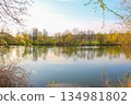 Peaceful Spring Walk Along Idyllic Country Road Near Danube Lake in Regensburg 134981802