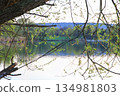 Peaceful Spring Walk Along Idyllic Country Road Near Danube Lake in Regensburg 134981803