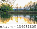 Peaceful Spring Walk Along Idyllic Country Road Near Danube Lake in Regensburg 134981805