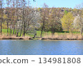 Peaceful Spring Walk Along Idyllic Country Road Near Danube Lake in Regensburg 134981808