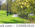 Peaceful Spring Walk Along Idyllic Country Road Near Danube Lake in Regensburg 134981810