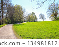 Peaceful Spring Walk Along Idyllic Country Road Near Danube Lake in Regensburg 134981812