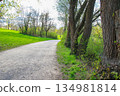 Peaceful Spring Walk Along Idyllic Country Road Near Danube Lake in Regensburg 134981814