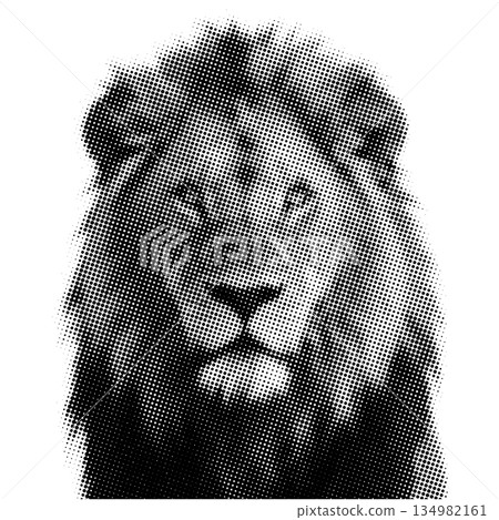 Lion Portrait Halftone Isolated on White Lion Portrait Halftone Isolated on White 134982161