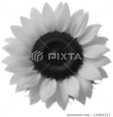Black and white halftone dot of a sunflower with a dark center and radiating petals on a white Black and white halftone dot of a sunflower with a dark center and radiating petals on a white 134982211
